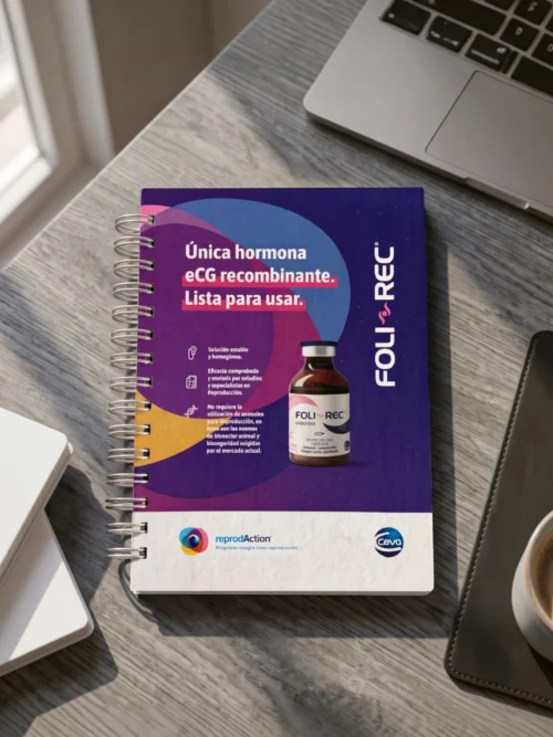 Cuaderno Foli-Rec