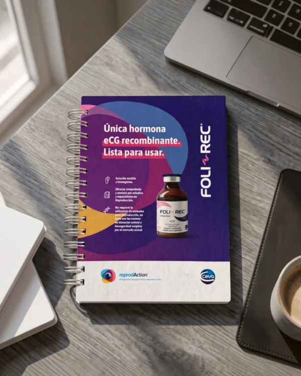 Cuaderno Foli-Rec